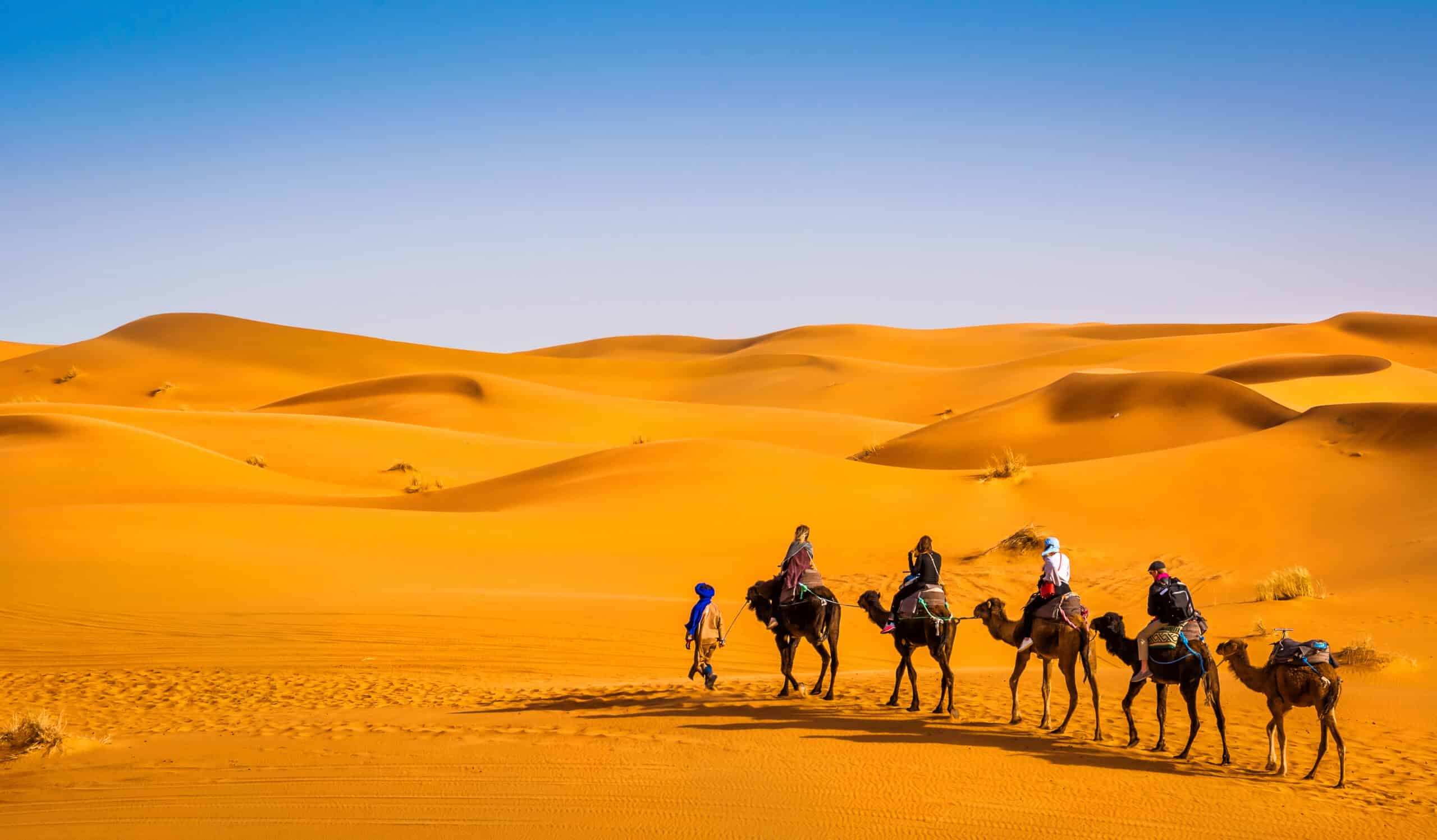8 días desde Tanger a Marrakech, Marruecos: Tour De Tanger a Marrakech