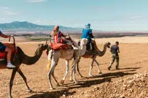 Mundo Marruecos, Inicio