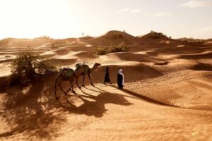 Viajes a Marruecos