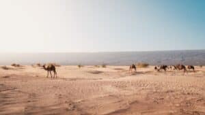 Ruta en 4x4 por el desierto del Sahara en Marruecos