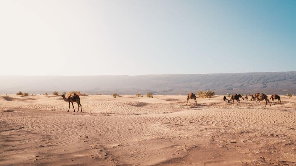 Ruta en 4x4 por el desierto del Sahara en Marruecos